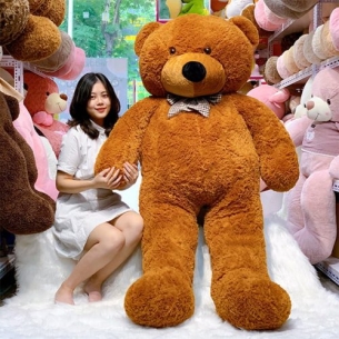 Gấu bông Teddy 2m