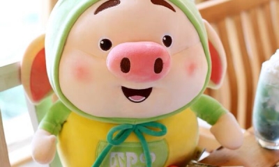 Xưởng May Gấu Bông Theo Yêu Cầu Tại Hồ Chí Minh - Chất Lượng, Uy Tín