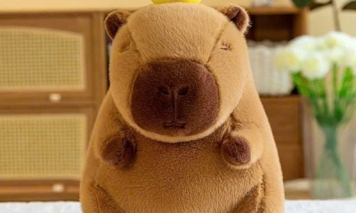 Gấu Bông Thêu Tên Doanh Nghiệp Theo Yêu Cầu: Giải Pháp Độc Đáo Cho Quà Tặng