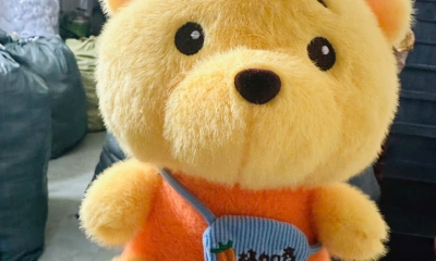 Mua Thú Nhồi Bông Ở Quận 12: Hướng Dẫn Chi Tiết Và Địa Điểm Uy Tín