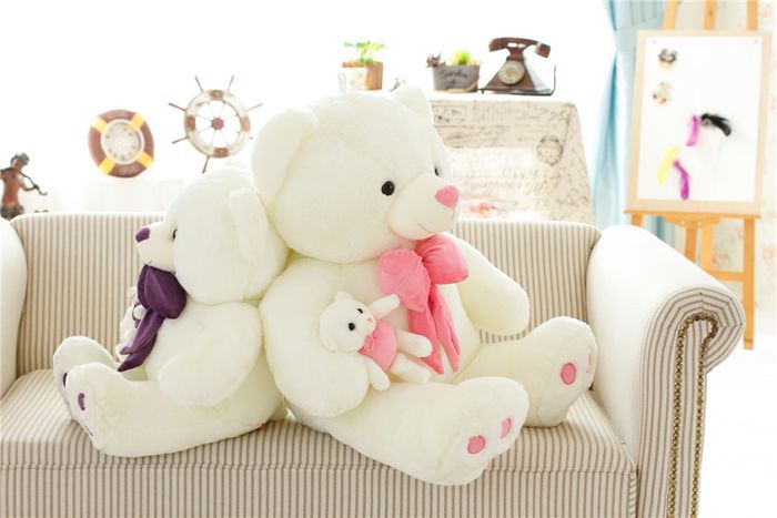 giới thiệu gấu teddy