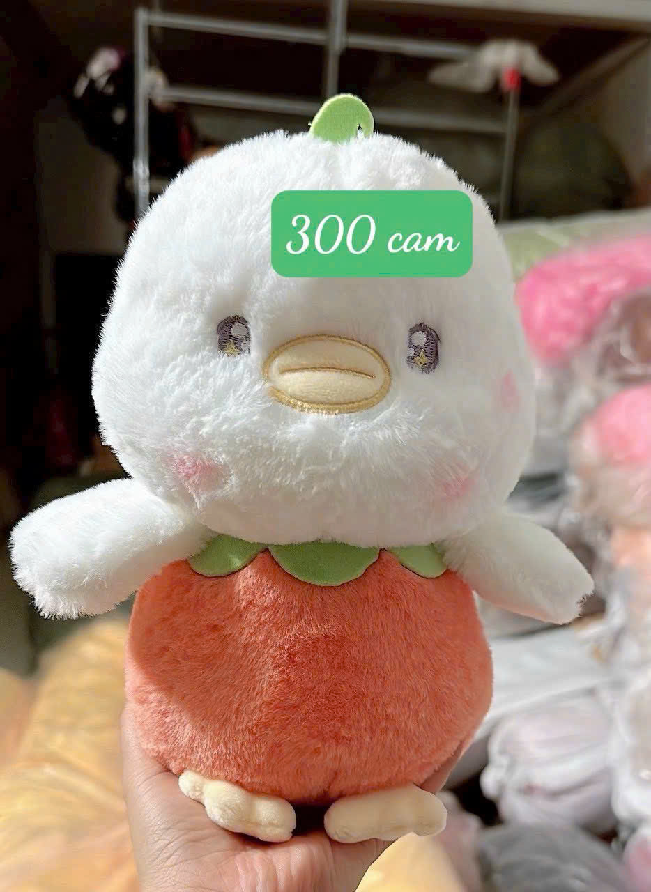 Thiết kế mẫu gấu bông