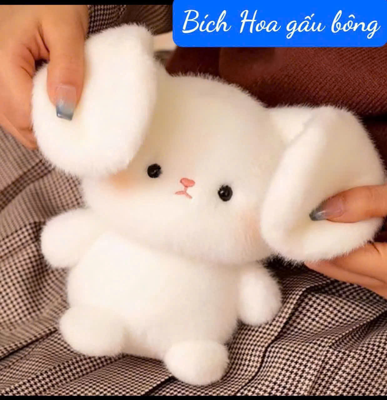 cách chọn gấu bông phù hợp