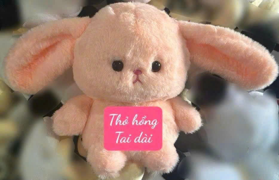 Địa chỉ mua gối tựa lưng văn phòng tại TPHCM